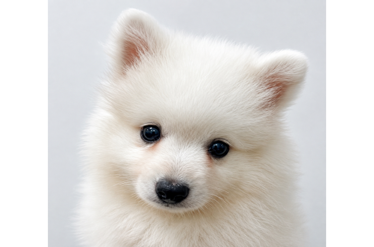 すぴ