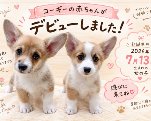 コーギー姉妹