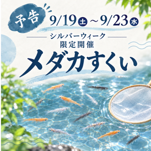 三鷹めだか