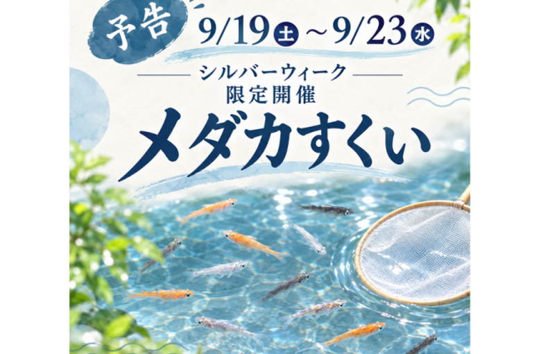 三鷹めだか